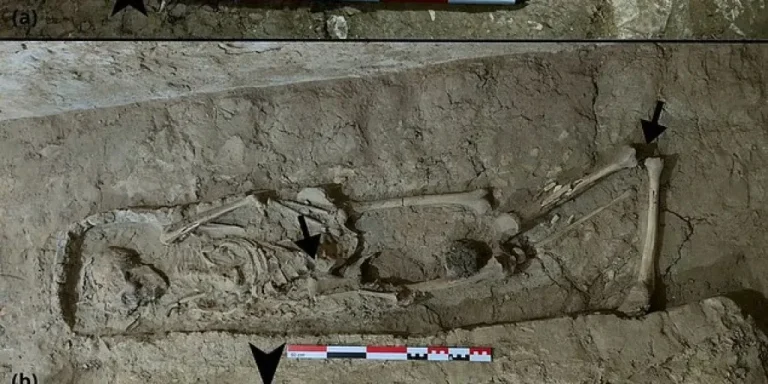 У єгипетській гробниці знайшли 16 мумій і собаку: тіла складали століттями